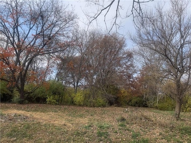 8136 Flora Ave, Kansas City, MO 64131 - photo 4