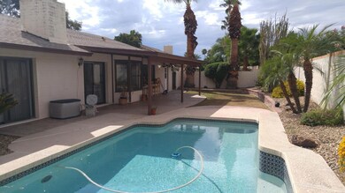 Backyard 3