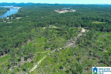 209 Harts Ferry Rd unit 2, Ohatchee, AL 36271 - photo 7