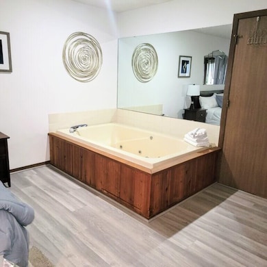 1093 Canyon Rd unit 303, Wisconsin Dells, WI 53965 - photo 7