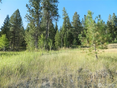 10 Sorona Way E, Tonasket, WA 98855 - photo 7