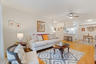 Living area with light wood-style flooring and a ceiling fan