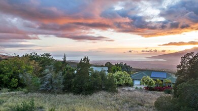 90 Alanuilili Place, Kula, HI 96790 - photo 7