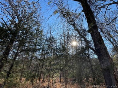 331 Bailey Blvd, Tahlequah, OK 74464 - photo 6