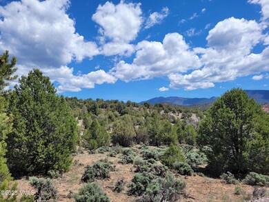 00755 Pinon Crest Way, McCoy, CO 80463 - photo 4
