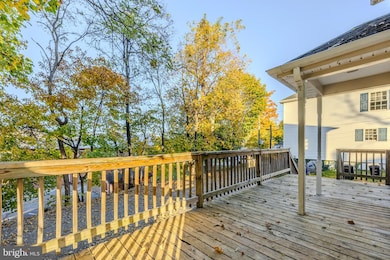 405 1/2 Elm St, Winchester, VA 22601 - photo 6