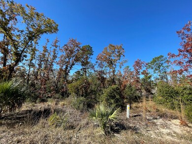 TBD Lot #19 Sea Oaks Dr unit 19, Perry, FL 32348 - photo 3