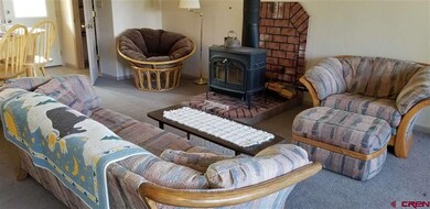 0 Armitage Springs Rd unit 762907, Powderhorn, CO 81243 - photo 5