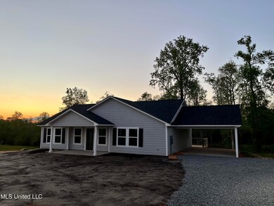 143 Beaver Dam Rd, Mc Henry, MS 39561 - photo 2