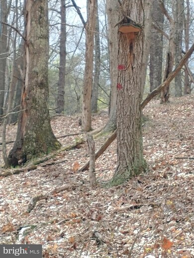 0 Horn Camp Rd unit WVHS115546, Rio, WV 26755 - photo 6