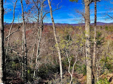 1 Sweet Fern Way, Marietta, SC 29661 - photo 3