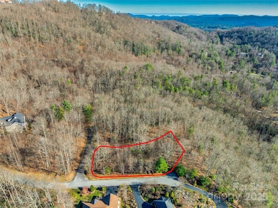 211 Ladys Fern Trail, Laurel Park, NC 28739 - photo 5