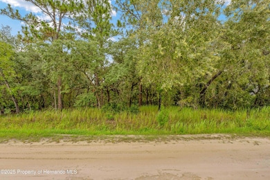 0000 Maybird Ave, Weeki Wachee, FL 34613 - photo 4