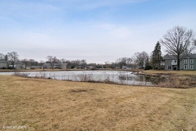 2091 Creekside Dr unit 2-3, Wheaton, IL 60189 - photo 4
