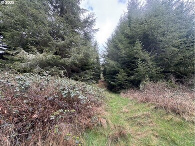 0 Wildberry Rd, Coosbay, OR 97420 - photo 2
