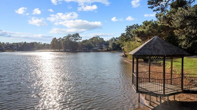 11303 Spring Glen Dr, Houston, TX 77070 - photo 4