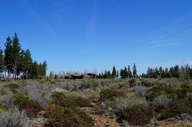61020 Bachelor View, Bend, OR 97702 - photo 7