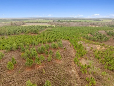 0 Blue Springs Rd unit 138600, Sylvester, GA 31791 - photo 4