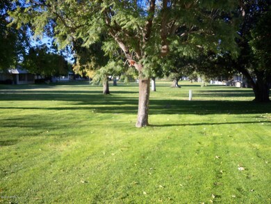 10017 W Highwood Ln, Sun City, AZ 85373 - photo 2