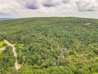 0 Dugway Rd unit R1633623, Bristol, NY 14424 - photo 3