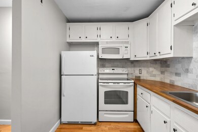 804 Centre St unit 104, Jamaica Plain, MA 02130 - photo 5