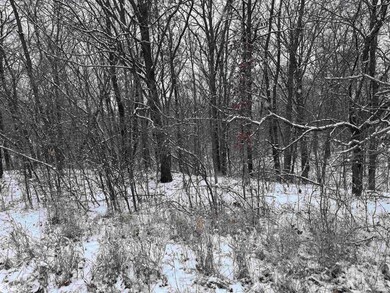 31702 127th St, Floris, IA 52560 - photo 4