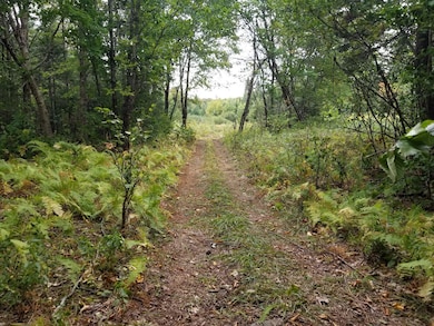 ATV trail looking back to Beaver Lane