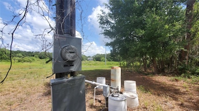 4161 Old Bartow Eagle Lake Rd, Bartow, FL 33830 - photo 4