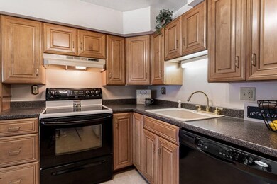 98 Fuller St unit 29, Ludlow, MA 01056 - photo 6