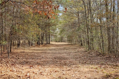 88 Paul Smith Rd, Covington, GA 30014 - photo 7