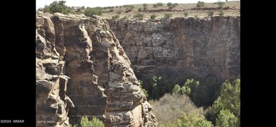 IMG_0458