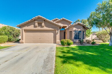 South Facing Front Yard