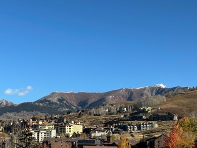 45-5 Hunter Hill Rd, Crested Butte, CO 81225 - photo 5