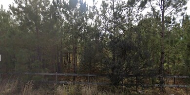 00 Elm St E, Hampton, SC 29924 - photo 3