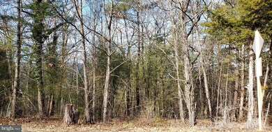 0 Supinlick Ridge unit VASH121848, Basye, VA 22810 - photo 2