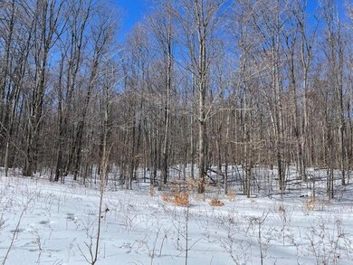 0 N Sunshine Trail unit 201817387, Wolverine, MI 49799 - photo 2