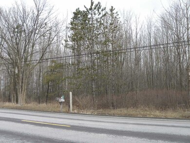 0 State Route 301 unit 3980441, Lagrange, OH 44050 - photo 2
