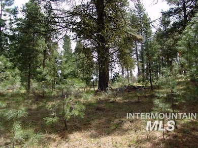 1483 Pine Lakes Ranch Dr, Cascade, ID 83611 - photo 2