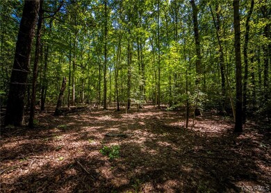 5781 Moore Creek Rd, Powhatan, VA 23139 - photo 5