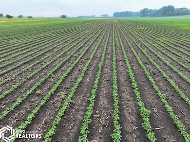 4177 Nuthatch Ave, Kensett, IA 50448 - photo 2