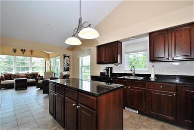 A chef's kitchen, cherry cabinets, granite counter
