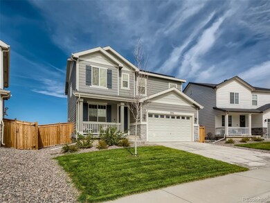 Landscaped Front Yard