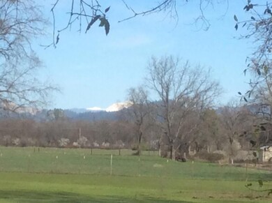 ViewMtShasta