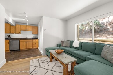 304 Waterview Dr, Snowmass, CO 81654 - photo 5