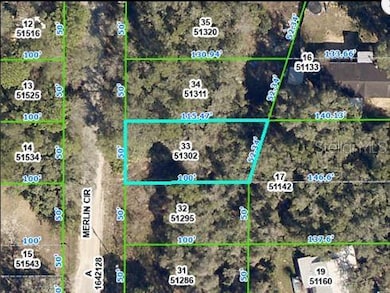 4842 Merlin Cir, Ridge Manor, FL 33523 - photo 2