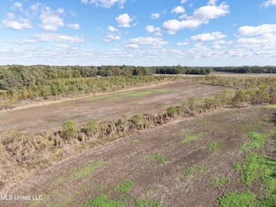 0 Walnut Lake Rd, Dundee, MS 38626 - photo 3