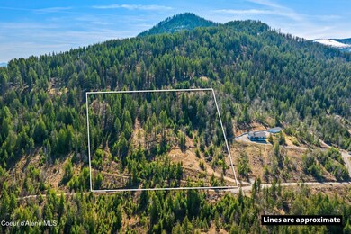 11_DJI_20250415051641_0038_D_M3PRO copy