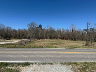 8287, 8353 Rushing Rd, Denham Springs, LA 70726 - photo 3