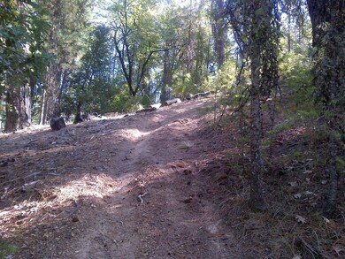 Entry Road