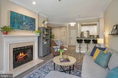 2330 14th St N unit 301, Arlington, VA 22201 - photo 7